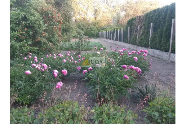 średzki, Środa Śląska, Dom w zabudowie bliźniaczej | 80 m2 | Działka 1200 m2 | Środa Śląska