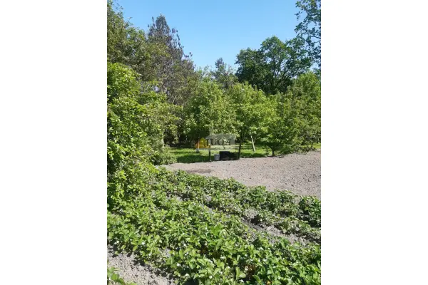 średzki, Środa Śląska, Dom w zabudowie bliźniaczej | 80 m2 | Działka 1200 m2 | Środa Śląska