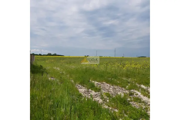 średzki, Środa Śląska, Działka na sprzedaż