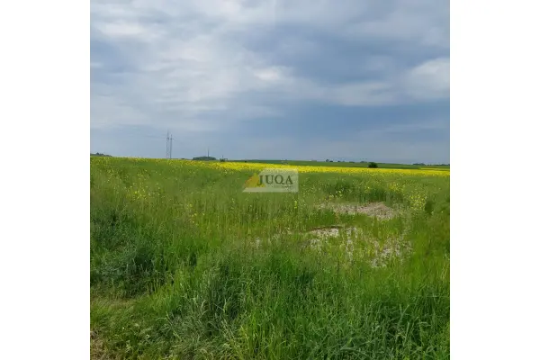 średzki, Środa Śląska, Działka na sprzedaż